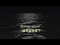 Taylor Swift - my tears ricochet  泣不成聲 中文翻譯