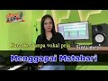 Download Lagu Menggapai Matahari // Karaoke Tanpa Vokal Pria