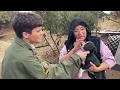 A Day in the Life of an Animal Services Officer