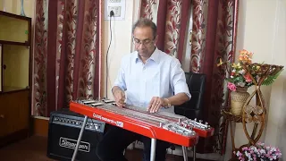 woh shaam kuch ajeeb thi hawaiian guitar by radhendu das