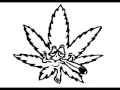 Buju Banton - Bogle