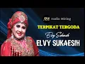 Lagu Terpikat tergoda - elvy sukaesih - hq