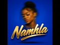 Namhla -Optimist za revisit