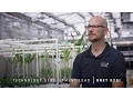 Monsanto BioAg Learning Series - Nutrient Uptake