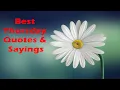 Thursday quotes and sayings Thursday quotes of the day Happy Thursday Quotes