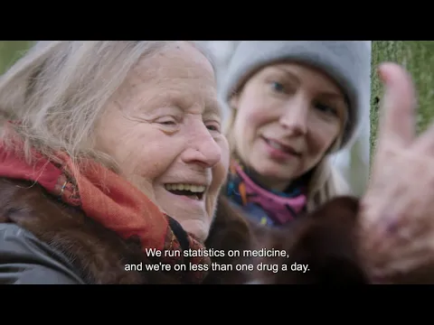 Hot Docs 2021 Trailers: IT IS NOT OVER YET