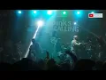 Download Lagu Bunga Hitam - Kami Masih Muda @upthepunkscalling Jakarta 2023
