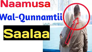 Naamusa Wal Qunnamtii Saalaa Etiquette Of Sexual Intercourse In Islam 