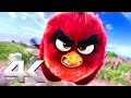 Download Lagu Birds VS Pigs Best Scenes 4K - ANGRY BIRDS ᴴᴰ