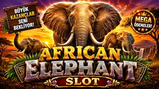 SLOT OYUNLARI 🔴 SLOT SİZDEN GELENLER ve BENDEN GELENLER 🔴 AFRICAN ELEPHANT 🔴 KAZANÇLAR MERDİVEN GİBİ