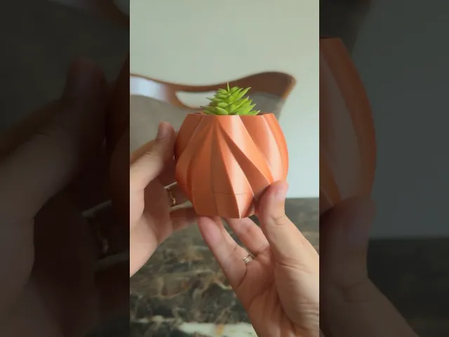 Flowerpot Star  video thumbnail