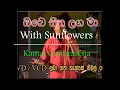 Download Lagu Obe Sitha Laga Ma With Sunflowers Kamal Chithrasena