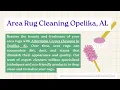 Area Rug Cleaning Opelika AL