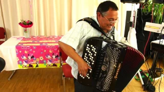 dobricino kolo uz orkestar leopardi dragoslava radosavljevica