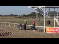 Chuckwagons September 6 2025 Fishing Lake Casey