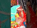 Download Lagu Wedding Madwa Maiya Bhojpuri Dhire Dhire Best 🌹🥰🌹 #youtubeshorts #youtube #video #music #song