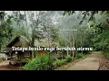 Download Lagu Lagu gayo terpopuler uwes Nasrul arifin