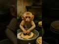 Download Lagu #Poor monkey straugle #cat #shorts  video #virsl video