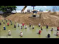Lagu Amazing Sand Filling! Epic SHANTUI DH17c2 Pushing sand to fill the huge pond with Dump Truck loading