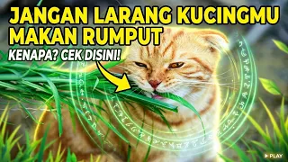 Jangan melarang kucingmu makan RUMPUT