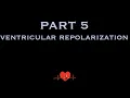 ECG Depolarization and Repolarization PART 5 - Ventricular repolarization