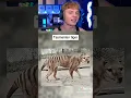 Download Lagu Extinct Animals Caught on Camera! 😨
