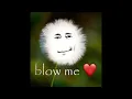 Kesha - Blow (Kryd Hoodtrap / Mylancore Remix)