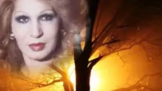 تعالالى يا با فايزه احمد 