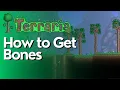 How to Get Bones in Terraria