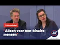 Lagu Nanninga sloopt heilige diversiteitshuisjes in cultuurdebat