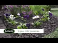 Rubber Mulch outlasts Wood Mulch by Rubberific