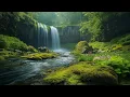 Download Lagu Beautiful Relaxing Music with Nature Sounds🌿 Calming Music for Stress Relief \u0026 Deep Sleep