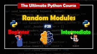 Random Modules The Ultimate Python Course BrainyHub