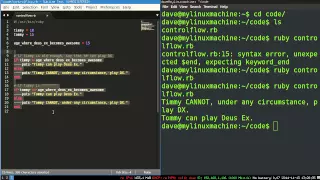 Programming Ruby 08 - Control Flow with if