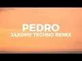 Jaxomy - Pedro pedro pedro (Techno remix) (Lyrics)