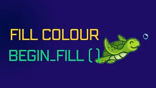 Python Turtle Graphics Fill Shape