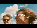 Harry Styles // Sweet Creature // [Traducida al español] Subtitulada inglés - español - lyrics