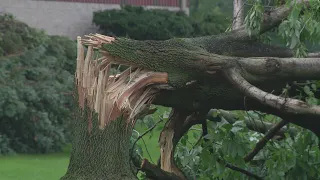 National Guard in Indiana to help clear worst of storm damage