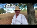 Download Lagu CORNEL BORZA - Frunză verde tri' zmicele