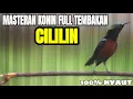 Download Lagu MASTERAN KONIN FULL TEMBAKAN CILILIN