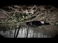 Project Pitchfork - Melancholia