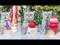 Download Lagu Chef Cat's Super Long Food Collection Makes You Satisfying！ | Cat Cooking Food | Cute And Funny Cat