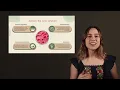 Download Lagu START Fellowship Application: Anya Galloway: Jamore: Pitch