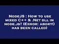 NodeJS How to use mixed C Net dll in node js Error abort has been called