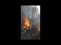Clearing 4 Acres of Jungle - Mayan Style Slash-n-Burn