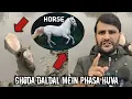 Ghoda daldal mein phasa huva/mudasir aziz/must watch