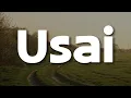 Download Lagu Tiara Andini - Usai (Lirik)