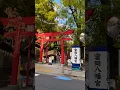 Download Lagu Fukagawa Hachiman Festival: One of Edo's Big Three Festivals! #shorts #japan #shrine #temple #tokyo