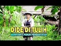 Download Lagu Ringit Padang Guci DIDE DI TULIH Oleh RUNAI
