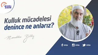 Kulluk mücadelesi denince ne anlarız?